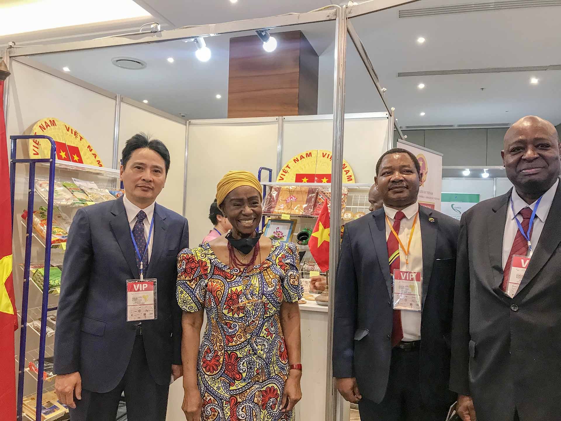Plentiful room for cooperation between Vietnam and Africa